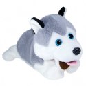 Maskotka interaktywna Figo Pies reagujący na komendy Husky Maskotka interaktywna Figo Pies reagujący na komendy Husky