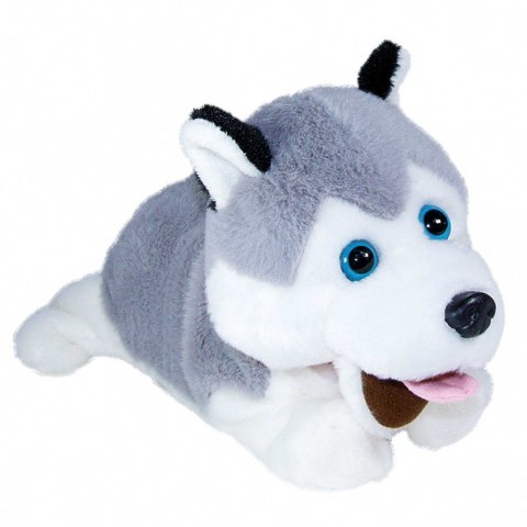 Maskotka interaktywna Figo Pies reagujący na komendy Husky Maskotka interaktywna Figo Pies reagujący na komendy Husky