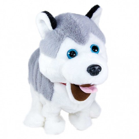 Maskotka interaktywna Figo Pies reagujący na komendy Husky Maskotka interaktywna Figo Pies reagujący na komendy Husky