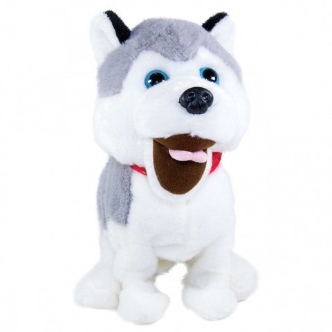 Maskotka interaktywna Figo Pies reagujący na komendy Husky Maskotka interaktywna Figo Pies reagujący na komendy Husky