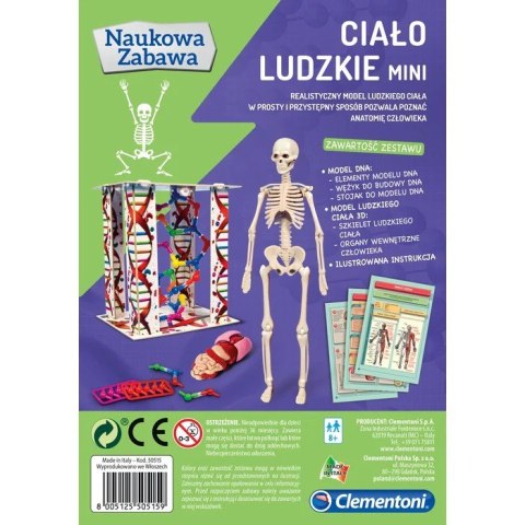 Zestaw naukowy Ciało ludzkie mini Zestaw naukowy Ciało ludzkie mini