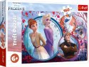 Puzzle 160 elementów. Frozen 2 (Kraina Lodu) - Siostrzana przygoda Puzzle 160 elementów. Frozen 2 (Kraina Lodu) - Siostrzana przygoda