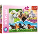 Puzzle 200 elementów - Piękne konie Puzzle 200 elementów - Piękne konie