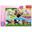 Puzzle 200 elementów - Piękne konie Puzzle 200 elementów - Piękne konie
