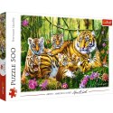 Puzzle 500 elementów - Rodzina Tygrysów Puzzle 500 elementów - Rodzina Tygrysów