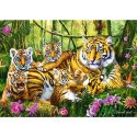 Puzzle 500 elementów - Rodzina Tygrysów Puzzle 500 elementów - Rodzina Tygrysów