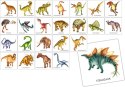 Gra Memory Dinozaury Gra Memory Dinozaury