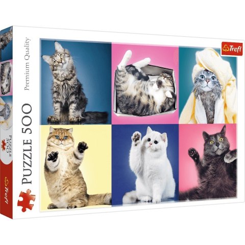 Puzzle Kociaki 500 elementów Puzzle Kociaki 500 elementów