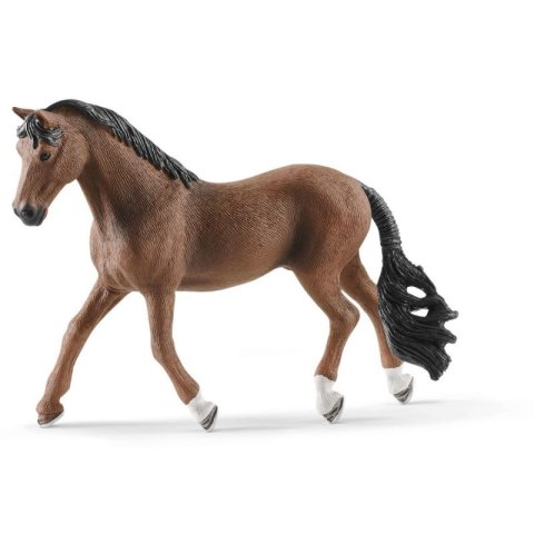 Wałach Trakehner Wałach Trakehner