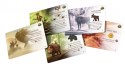 Gra Dodatek do Everdell' Zimowy Szczyt Edycja Kolekcjonerska Gra Dodatek do Everdell' Zimowy Szczyt Edycja Kolekcjonerska