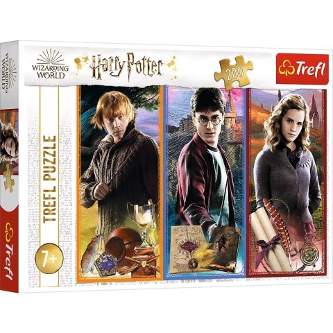 Puzzle 200 elementów W świecie magii Harry Potter Puzzle 200 elementów W świecie magii Harry Potter