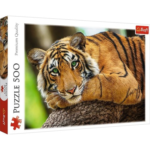 Puzzle 500 elementów Portret tygrysa Puzzle 500 elementów Portret tygrysa