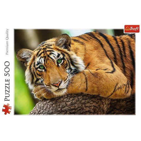 Puzzle 500 elementów Portret tygrysa Puzzle 500 elementów Portret tygrysa