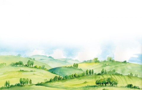 Gra Łąka (Meadow) PL Gra Łąka (Meadow) PL