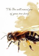 Karty Tarot Power Animal Cards Karty Tarot Power Animal Cards