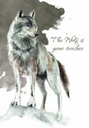 Karty Tarot Power Animal Cards Karty Tarot Power Animal Cards