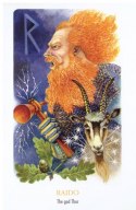 Karty Tarot Rune Vision Cards GB Karty Tarot Rune Vision Cards GB