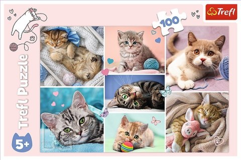 Puzzle 100 elementów W kocim świecie Puzzle 100 elementów W kocim świecie