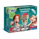 Zestaw edukacyjny Zwariowana Anatomia Zestaw edukacyjny Zwariowana Anatomia