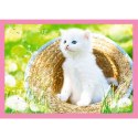 Puzzle 4w1 Zabawne kotki Puzzle 4w1 Zabawne kotki