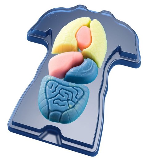 Zestaw naukowy Fun Scienc-Squishy Organs Zestaw naukowy Fun Scienc-Squishy Organs