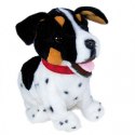 Maskotka interaktywna Figo Pies reagujący na komendy Jack Russel Terrier Maskotka interaktywna Figo Pies reagujący na komendy Jack Russel Terrier