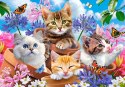Puzzle 500 elementów Kotki w kwiatach Puzzle 500 elementów Kotki w kwiatach