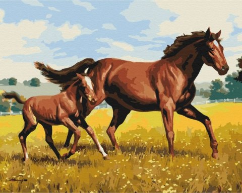 Obraz Malowanie po numerach - Rodzinny galop Obraz Malowanie po numerach - Rodzinny galop