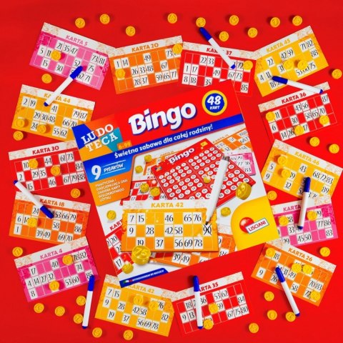 Gra Ludoteca Bingo Gra Ludoteca Bingo