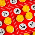 Gra Ludoteca Bingo Gra Ludoteca Bingo