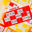 Gra Ludoteca Bingo Gra Ludoteca Bingo
