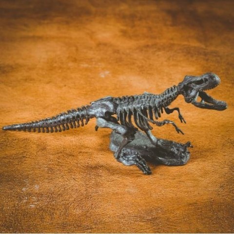 Zestaw naukowy Crazy science Smoki i dinozaury Zestaw naukowy Crazy science Smoki i dinozaury