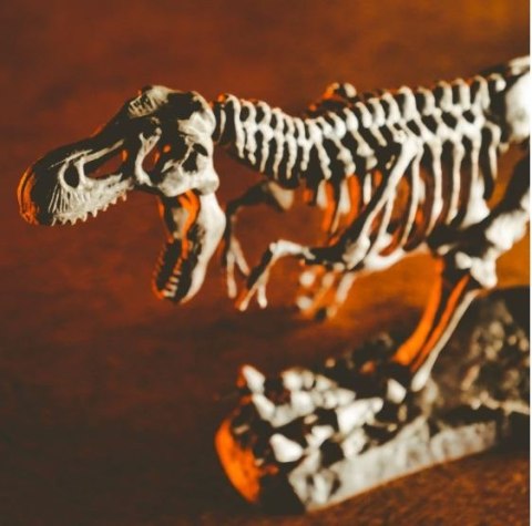 Zestaw naukowy Crazy science Smoki i dinozaury Zestaw naukowy Crazy science Smoki i dinozaury