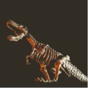Zestaw naukowy Crazy science Smoki i dinozaury Zestaw naukowy Crazy science Smoki i dinozaury
