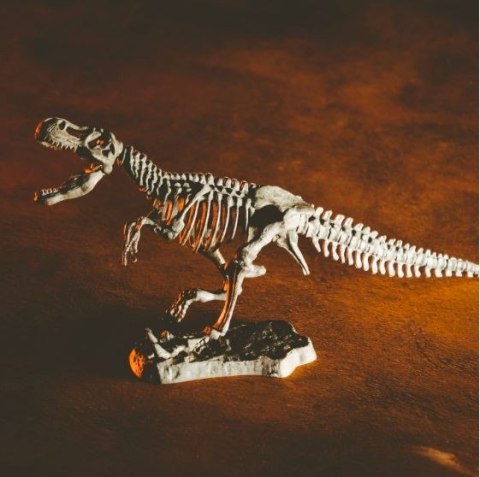 Zestaw naukowy Crazy science Smoki i dinozaury Zestaw naukowy Crazy science Smoki i dinozaury