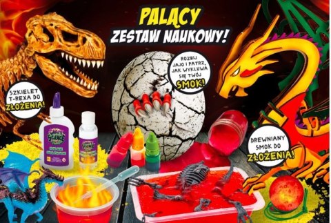 Zestaw naukowy Crazy science Smoki i dinozaury Zestaw naukowy Crazy science Smoki i dinozaury