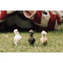 Figurki Farm World Kurze przyjaciółki Figurki Farm World Kurze przyjaciółki