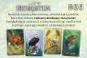 Gra Ekosystem Gra Ekosystem