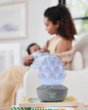 Lampka z dźwiękami Sukulent Lampka z dźwiękami Sukulent