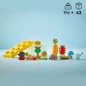 Klocki DUPLO 10984 Ogród uprawowy Klocki DUPLO 10984 Ogród uprawowy