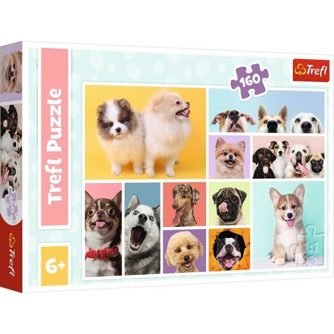 Puzzle 160 elementów Psia przyjaźń Puzzle 160 elementów Psia przyjaźń