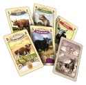 Gra Great Western Trail: Argentyna Gra Great Western Trail: Argentyna