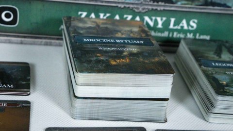Gra Bloodborne: Zakazany Las Gra Bloodborne: Zakazany Las