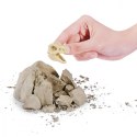 Skamieniałe jajo Dinozaura Skamieniałe jajo Dinozaura