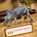 Zestaw naukowy Im a Genius Laboratorium paleontologii Zestaw naukowy Im a Genius Laboratorium paleontologii