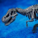 Zestaw naukowy Im a Genius Laboratorium paleontologii Zestaw naukowy Im a Genius Laboratorium paleontologii