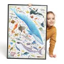 Puzzle Puzzlove Ryby i zwierzęta wodne 200 elementów Puzzle Puzzlove Ryby i zwierzęta wodne 200 elementów