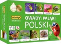 Gra Owady i pająki Polski memory Gra Owady i pająki Polski memory