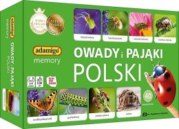 Gra Owady i pająki Polski memory