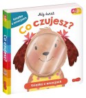 Książeczka Co czujesz? Akademia Mądrego Dziecka Książeczka Co czujesz? Akademia Mądrego Dziecka